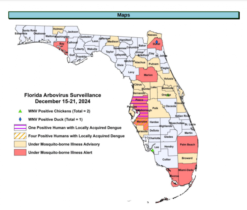 Florida Dengue Fälle